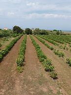 Marina s Cozy Escape-sea Sun Getaway