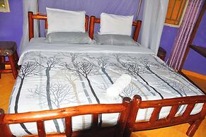 Dream Jet Suites