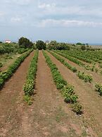 Marina s Nest-holiday Bliss Studio