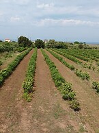 Marina s Holiday Retreat in Romanos