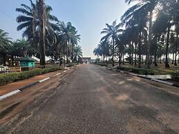 Precious Palm Royal Hotel