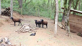 Pousada Refugio Arauca