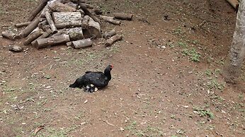 Pousada Refugio Arauca