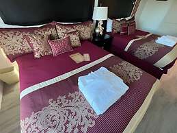 Univeral Disney Epic Shuttle