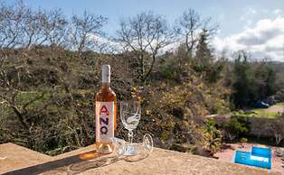 Althea Castle With Swimming Pool