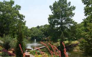 Updated Studio With Laundry Full Kitchen 36B