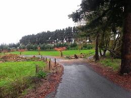 Morning Calm Lodge Limited