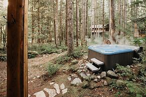 Mt Baker Lodging Cabin 40gs is a Classic NW Cabin