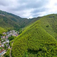 Moganshan Siyan Tea Garden Homestay