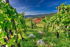 Vineyard Cottage Brodaric