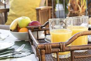 Coll Groc in Grau i Platja