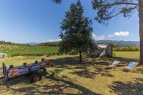 Countryside House Near To Pratomagno