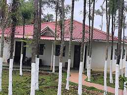 Punam Paravasha