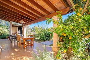 Ca Na Xisca Pollen a