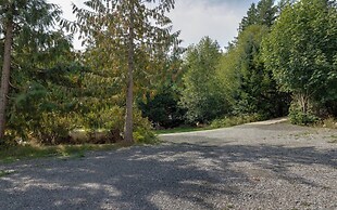 A Re-styled Single Story, 3-bedroom, 2-bath Ranch Style Cabin at Silve