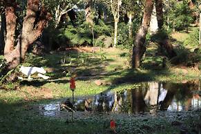 Pousada Serenus House