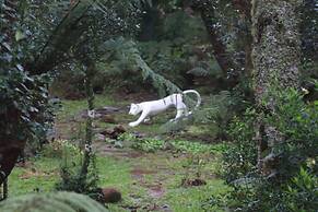 Pousada Serenus House