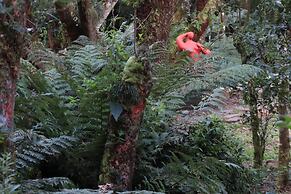 Pousada Serenus House