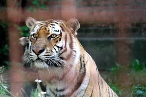 Marielyst Guesthouse