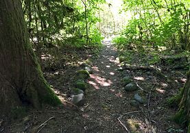 Mt Baker Lodging Cabin 61mbr - A Delightful 1 Story, 3 Bedroom, 2 Bath