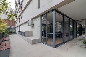 Mingodoy in S o Paulo