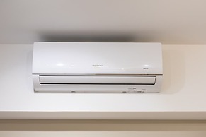 Mingodoy in S o Paulo