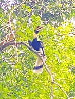 Private Paradise Resort