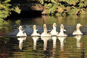 Rotui Luxury Village