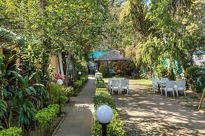 The Wild Orchid Resort