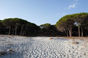 Happy Camp in Selema Camping