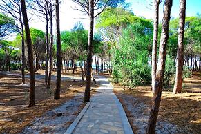 Happy Camp in Selema Camping