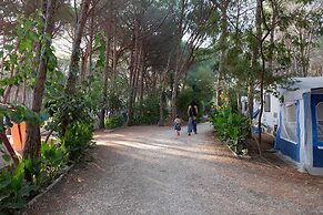 Happy Camp in Selema Camping