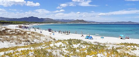 Happy Camp in Selema Camping