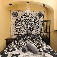 Los Amigos Nest Hostel