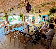 Los Amigos Nest Hostel