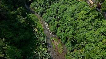 Sumeru Botanical Estate