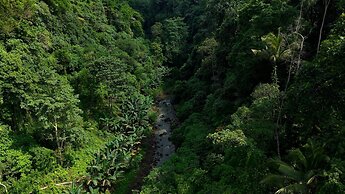 Sumeru Botanical Estate