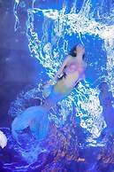 viila River View Resort Xishuangbanna