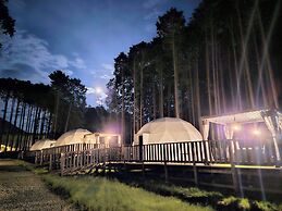 Forest Glamping Kanade no Mori Resorts