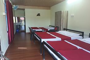 Cheetah Farms Jungle Stay