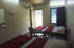 Cheetah Farms Jungle Stay