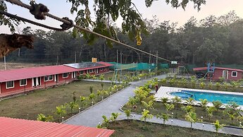 Cheetah Farms Jungle Stay