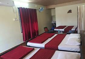 Cheetah Farms Jungle Stay