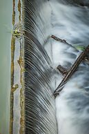 Le Moulin de Prunget