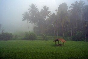 Crystal Kuruva Nature Resort & Spa