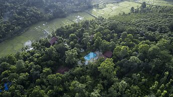 Crystal Kuruva Nature Resort & Spa