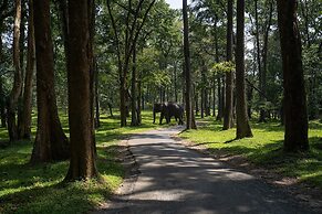 Crystal Kuruva Nature Resort & Spa