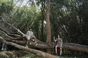 Crystal Kuruva Nature Resort & Spa