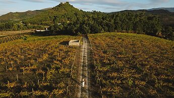 The Vinea Collection Hotel by Piamonte Hotels