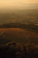 The Vinea Collection Hotel by Piamonte Hotels